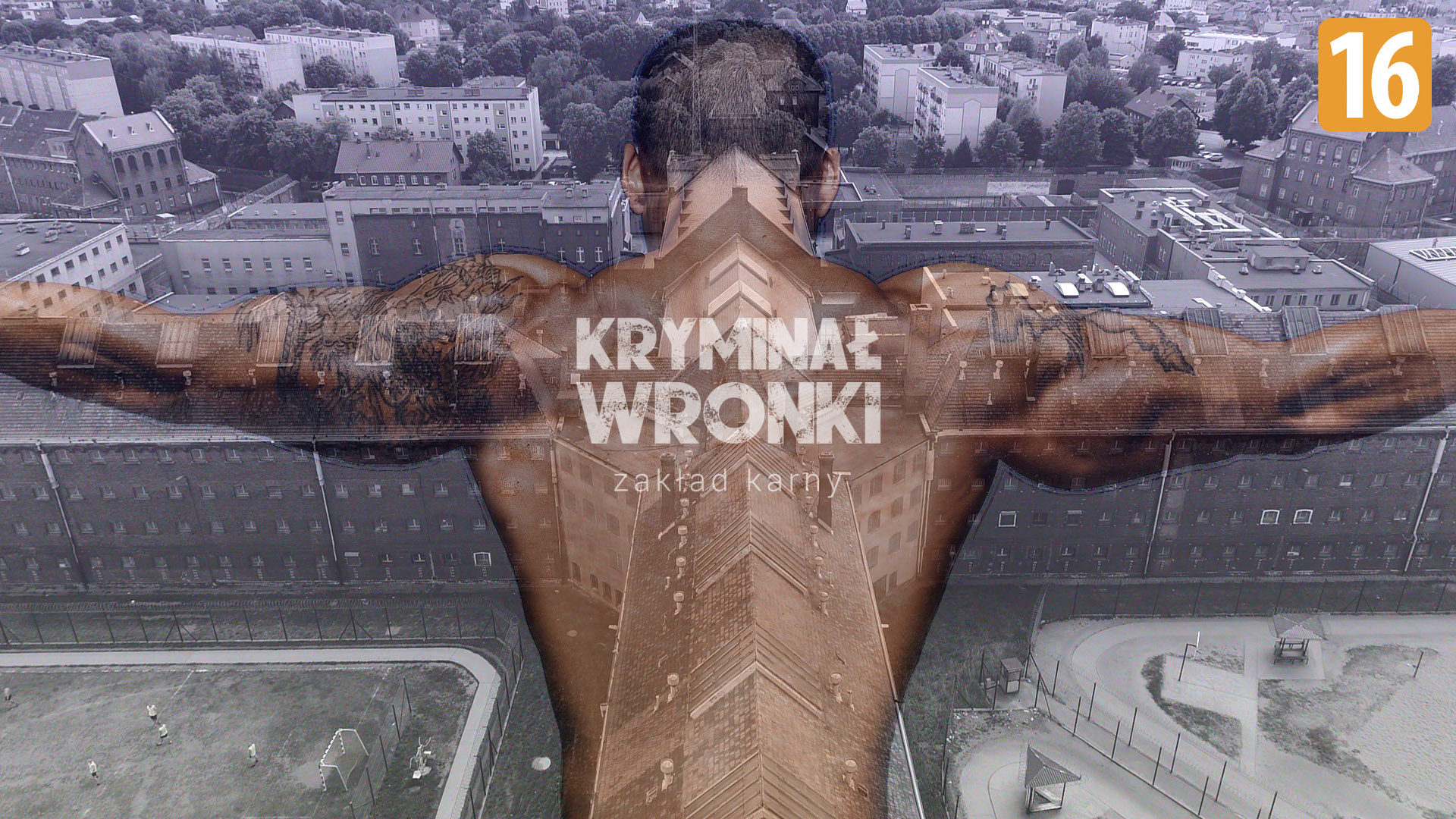 Kryminał Wronki