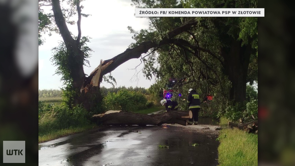 Powalone drzewa czy zerwane linie energetyczne. Gwałtowne burze przeszły przez Wielkopolskę