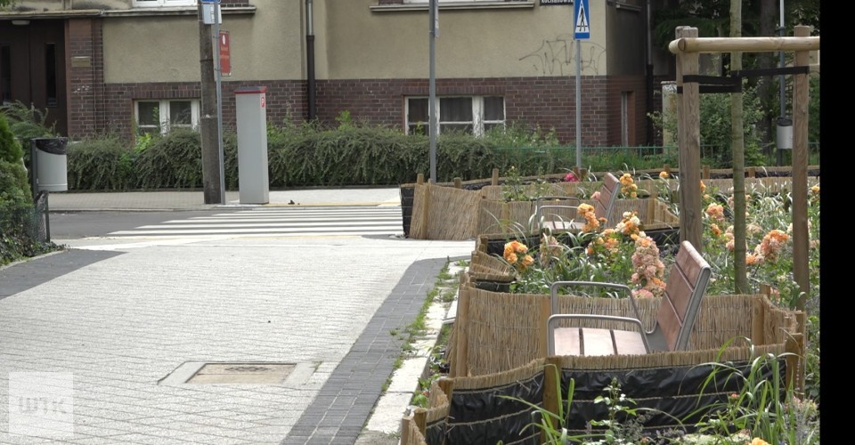 Zieleń zamiast bruku. Zmiany na Jeżycach