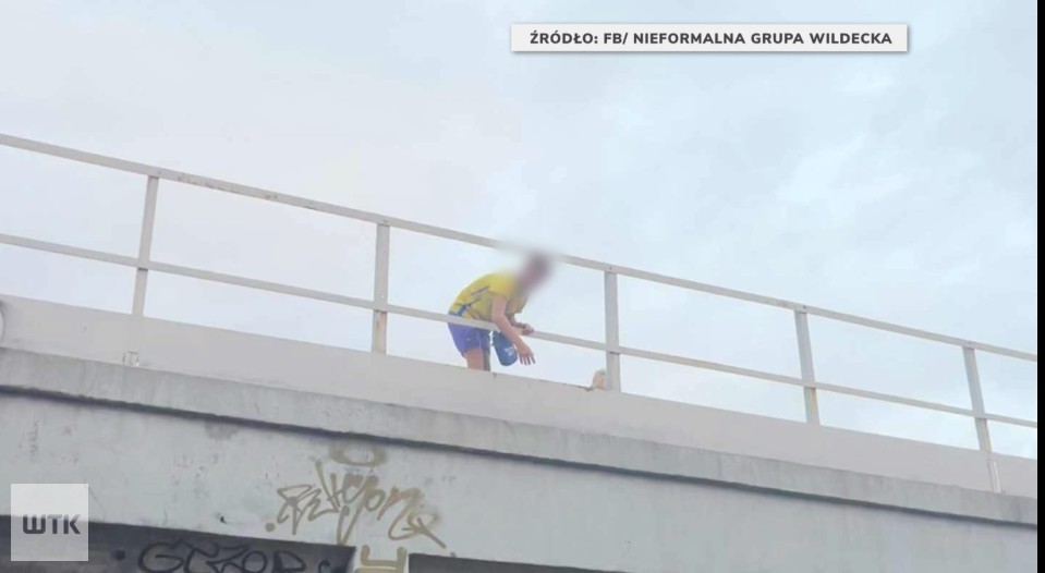 Kamieniami w auta. "Zabawa" dzieci na wiadukcie