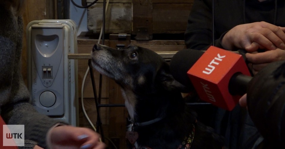 Zeszli pod ziemię, żeby ochronić swoje zwierzęta