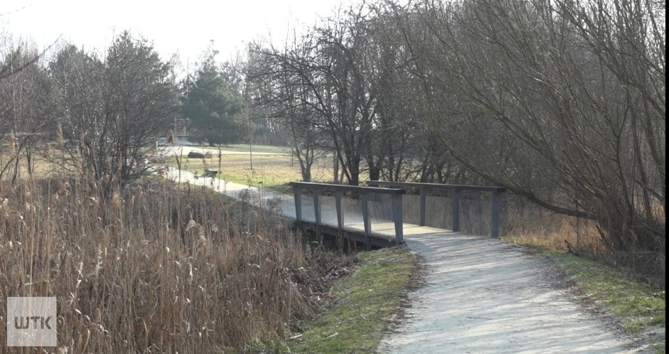 Parking zamiast plaży? Urzędnicy dementują