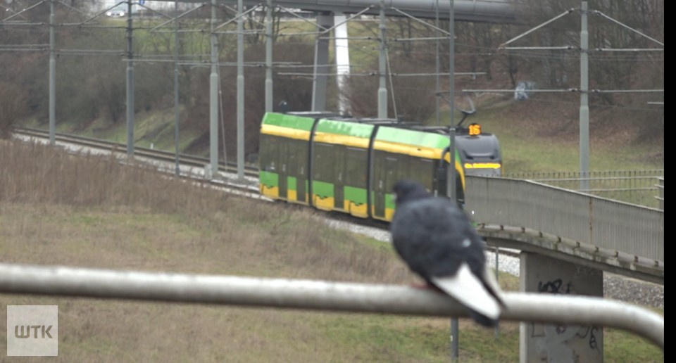 Galeria handlowa się nie rozbuduje. Nie chcą tego mieszkańcy