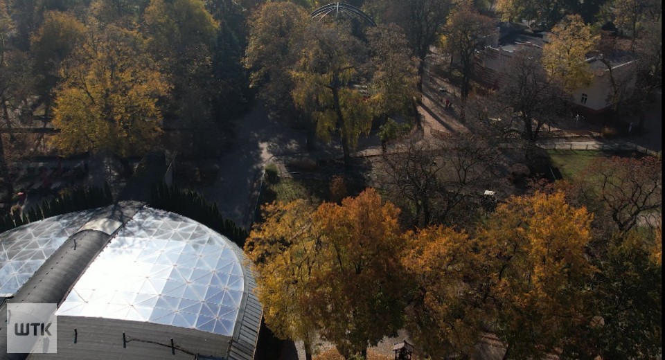 Zoologiczna niechęć do nowej dyrekcji czy prawdziwe zarzuty? Afera w ZOO