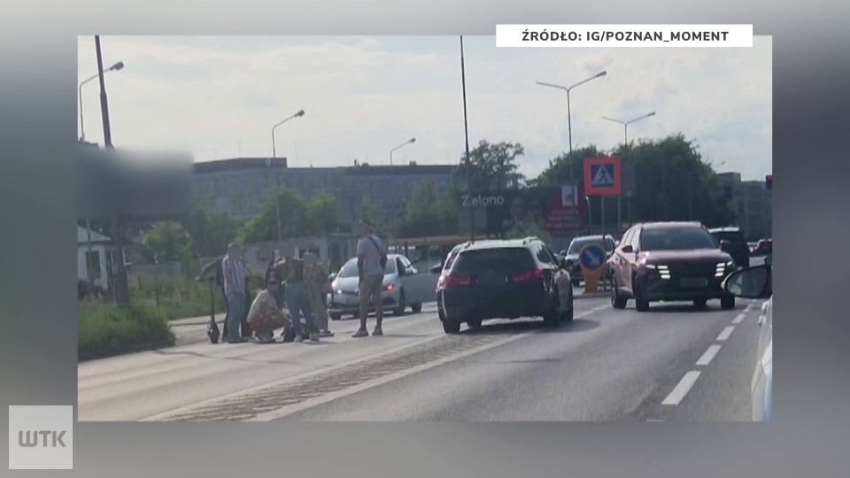 Śmiertelne potrącenie na pasach w Poznaniu. W powiecie średzkim mężczyzna utonął w Warcie