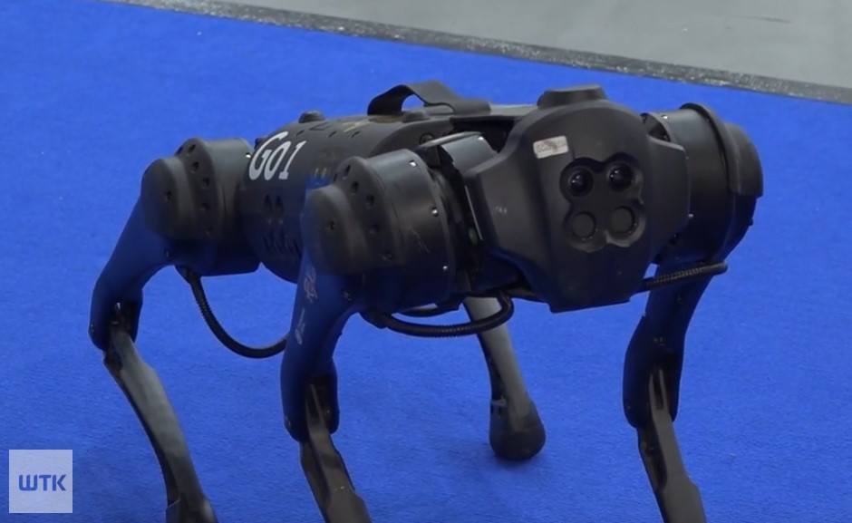 Robopies do terapii z dziećmi. Takie cuda na Europejskich Targach Nauki